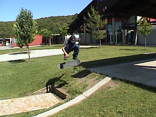 dale_thorn_fakie_flip.jpg